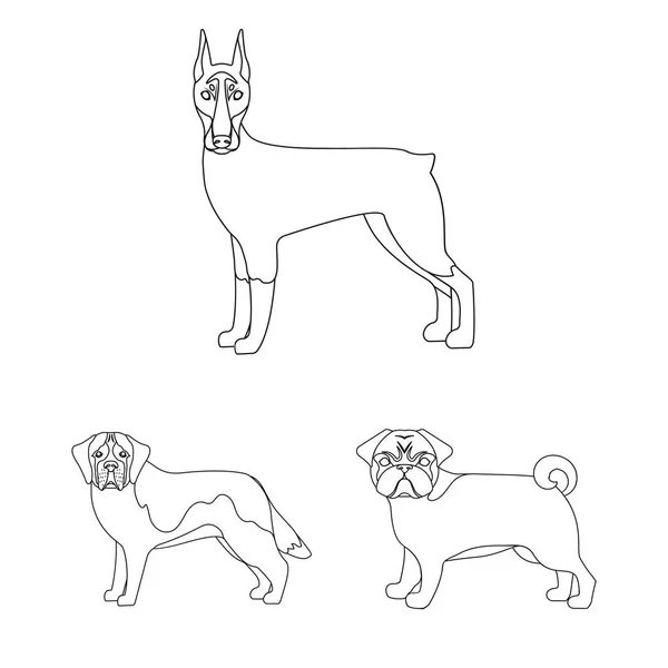 개 품종 아이콘 디자인에 대 한 설정 컬렉션을 설명합니다. 개 애완 동물 벡터 기호 재고 웹 일러스트 레이 션. — 스톡 벡터