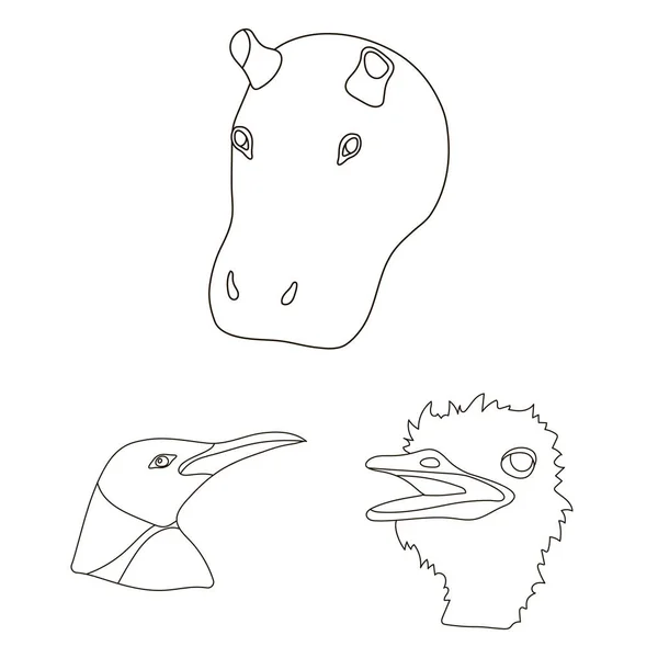 Дикі тварини окреслюють піктограми в наборі колекції для дизайну. Ссавці і птахи Векторний символ стокова веб-ілюстрація . — стоковий вектор