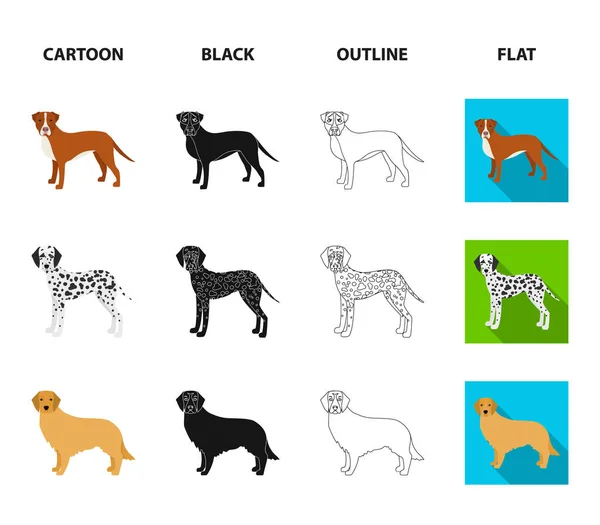 Dog φυλών μαύρο, περίγραμμα, γελοιογραφία, επίπεδη εικονίδια στη συλλογή σετ για σχεδιασμό. Σκύλος συντροφιάς διάνυσμα σύμβολο μετοχών web εικονογράφηση. — Διανυσματικό Αρχείο