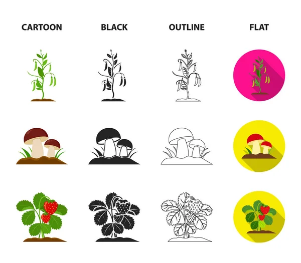 Mushrooms, strawberries, corn, cucumber.Plant set collection icons in cartoon, black, outline, flat style vector symbol stock illustration web . — стоковый вектор