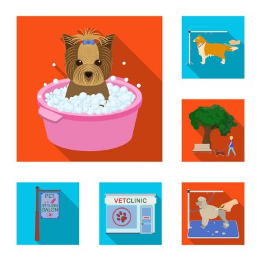 Set koleksiyonu tasarım için evde beslenen hayvan düz simgeler. Bakım ve eğitim sembol stok web illüstrasyon vektör.