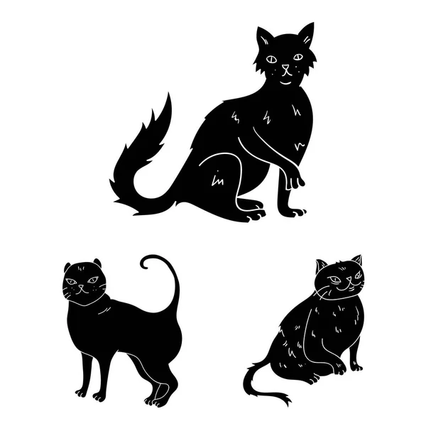 Races de chats icônes noires dans la collection ensemble pour le design. Animaux chat vecteur symbole stock web illustration . — Image vectorielle