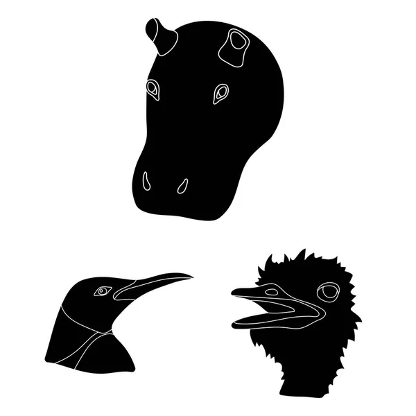 Wild animal black icons in set collection for design. Mammal and bird vector symbol stock web illustration. — Stock Vector