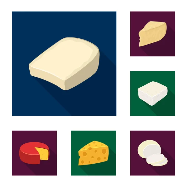 Diferentes tipos de ícones planos de queijo na coleção de conjuntos para design.Milk produto queijo vetor símbolo web ilustração . —  Vetores de Stock