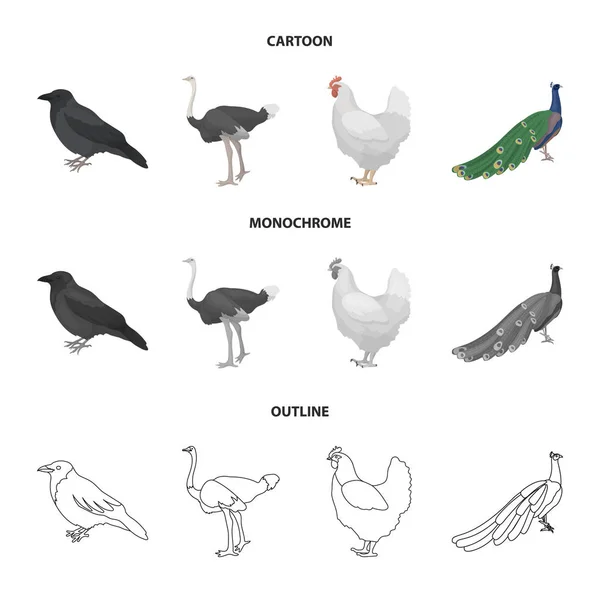 Crow, ostrich, chicken, peacock. Birds set collection icons in cartoon,outline,monochrome style vector symbol stock illustration web. — Stock Vector