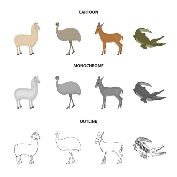 Lama, pštros emu, mladé antilopy, zvířecí krokodýl. Volně žijících zvířat, ptáků, plazů sada kolekce ikon v karikatuře, obrys, monochromatické stylu vektor symbol akcií ilustrace web. — Stockový vektor