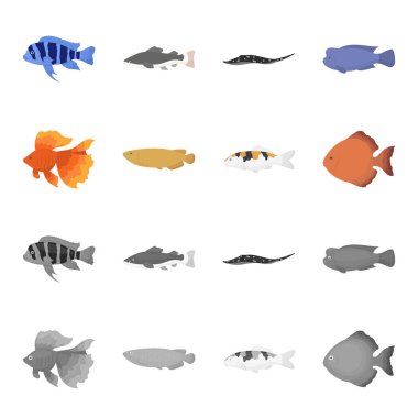 Discus, altın, sazan, koi, scleropages, fotmosus. Balık toplama simgeler çizgi film, tek renkli stil vektör simge stok çizim web ayarla..