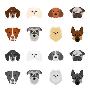 Farklı doğurmak-in köpek ağızlık. Köpek doğurmak Stafford, Spitz, Risenschnauzer, Alman çoban çizgi film, tek renkli stil vektör simge stok çizim web simgeler ayarla.