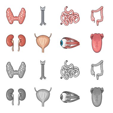 Böbrek, mesane, gözü, dili. İnsan organlarını toplama simgeler çizgi film, tek renkli stil vektör simge stok çizim web ayarla..