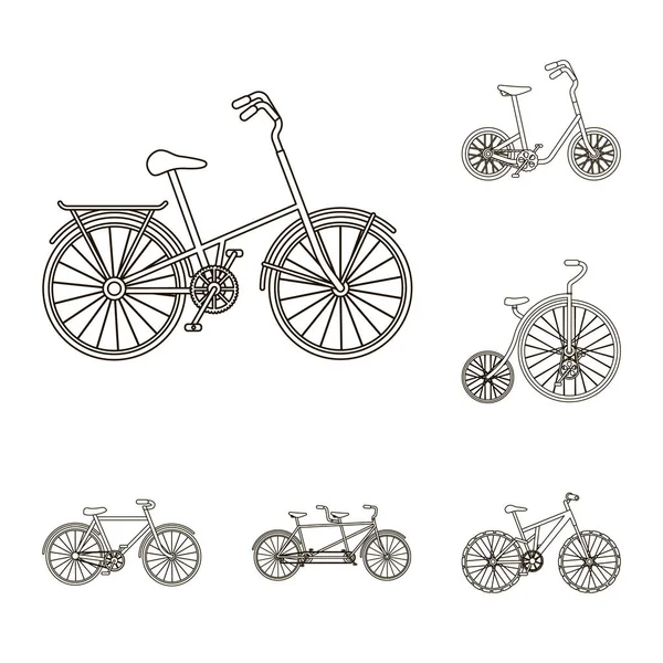 Varias bicicletas esbozan iconos en la colección de conjuntos para el diseño. El tipo de vector de transporte símbolo stock web ilustración . — Archivo Imágenes Vectoriales