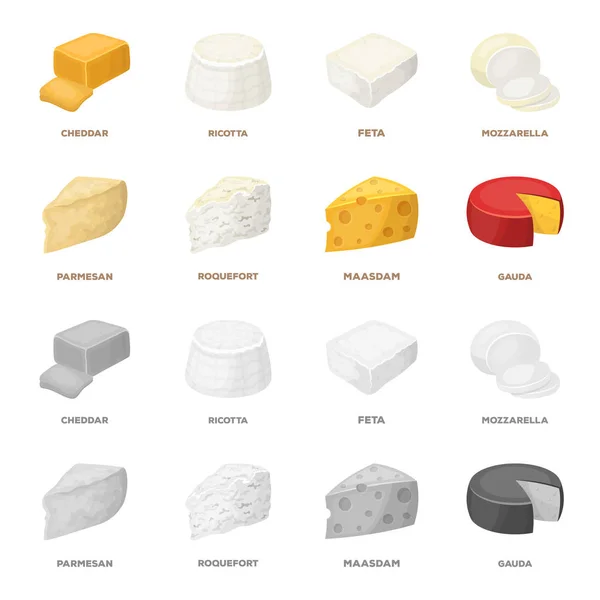 Parmesan, roquefort, maasdam, gauda. Olika typer av ost som samling ikoner i tecknad film, svartvit stil vektor symbol stock illustration web. — Stock vektor