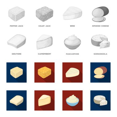 Gruyere, camembert, mascarpone, gorgonzola. Farklı peynir toplama simgeler tek renkli, düz stil vektör simge stok çizim web ayarla..