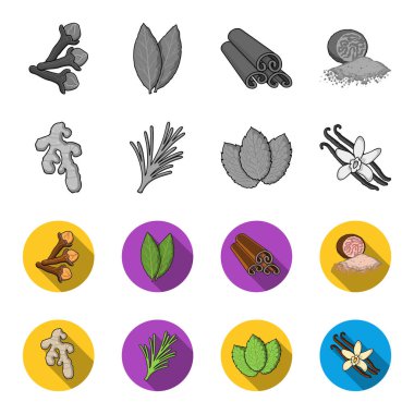 Ginger, biberiye, vanilya, nane. Otlar ve baharatlar tek renkli, düz stil vektör simge stok çizim web simgeler ayarla.