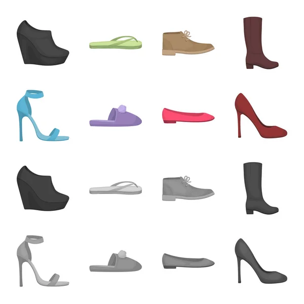 Sandalias de tacón alto azul, zapatillas de lilas caseras con un pampón, zapatos de ballet para mujeres rosas, zapatos de tacón alto marrones. Zapatos conjunto de iconos de colección en dibujos animados, el estilo monocromo vector símbolo de stock — Vector de stock