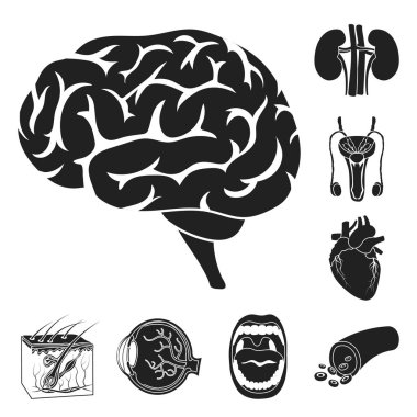 Tasarımı için iç organları bir insan siyah simgelerin ayarlamak koleksiyonu. Anatomi ve tıp vektör simge stok web çizim.