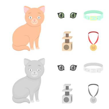 Kedi gözleri, tasma, bir ev için bir kedi, bir madalya şerit. Kedi çizgi film, tek renkli stil vektör simge stok çizim web simgeler ayarla.