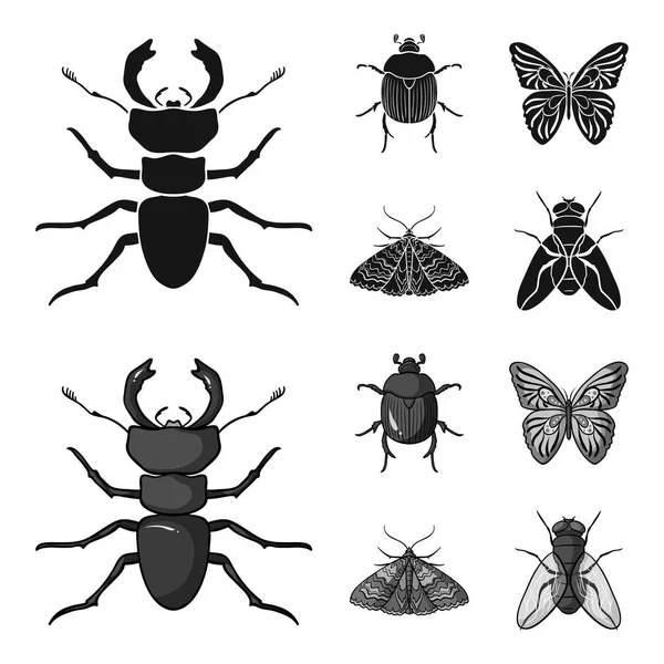 견인차, 기생충, 자연, 나비입니다. 곤충 검정, monochrom 스타일 벡터 기호 재고 일러스트 웹 컬렉션 아이콘 설정. — 스톡 벡터