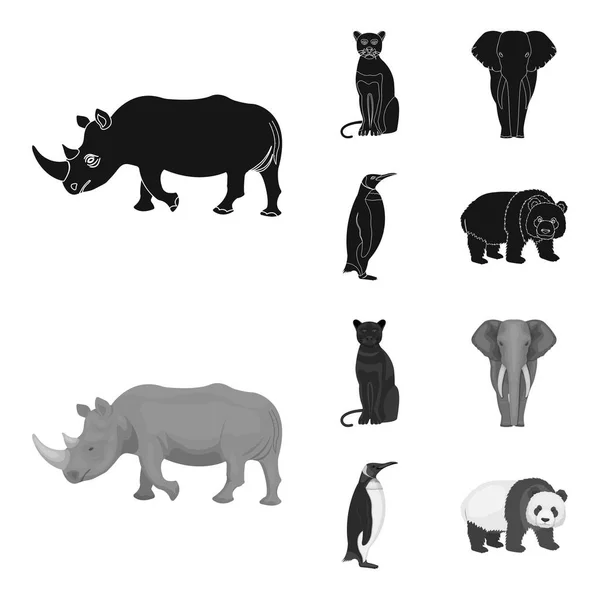 Spitzmaulnashorn, Panther-Wildkatze, afrikanischer Tierelefant, Kaiserpinguin. wild animals set collection icons in black, monochrom style vektor symbol stock illustration web. — Stockvektor