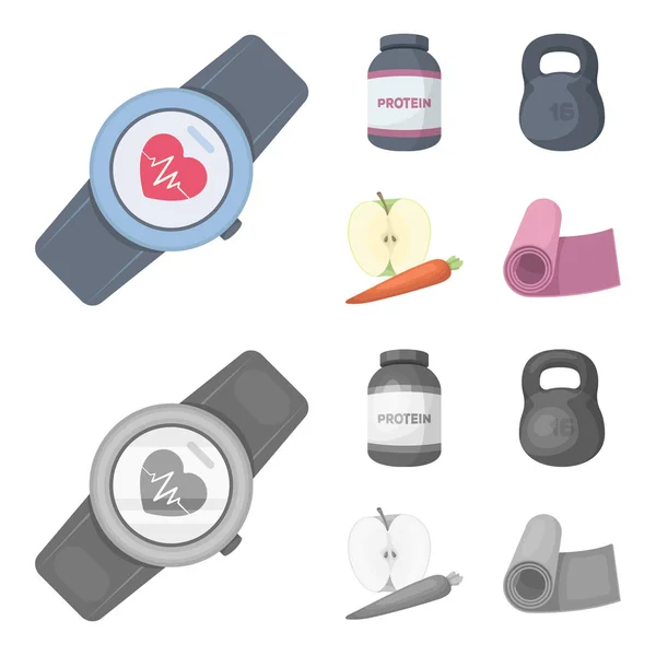 Protein, vitamins and other equipment for training.Gym and workout set collection icons in cartoon,monochrome style vector symbol stock illustration web. — Stock Vector