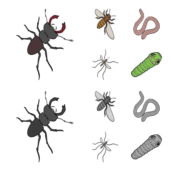 节肢动物昆虫蚊子, 蜜蜂。地球蠕虫, 毛毛虫, 蠕墨集合图标在卡通, 单色风格矢量符号股票等距插图网. — 图库矢量图片