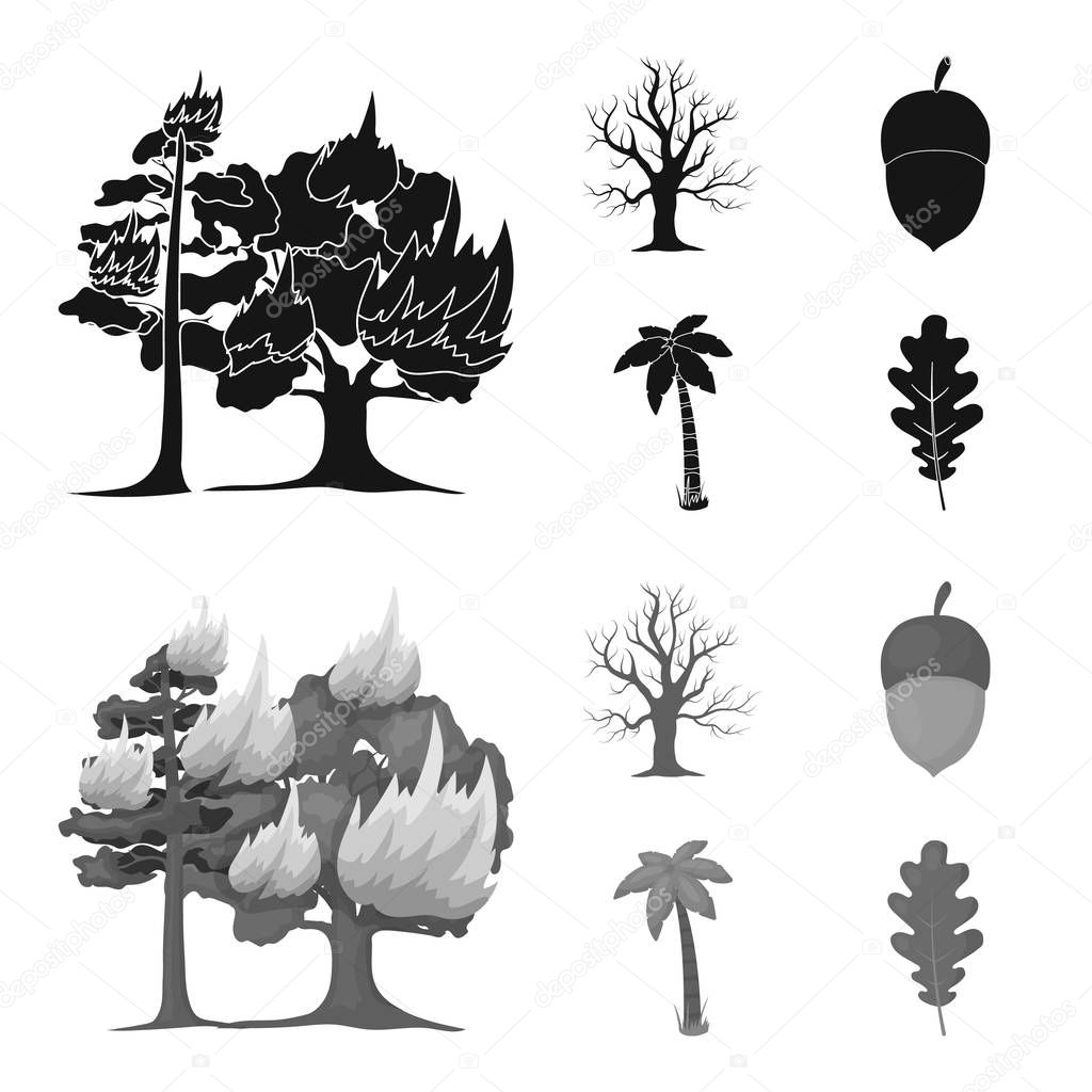 Burning tree, palm, acorn, dry tree.Forest set collection icons in black,monochrome style vector symbol stock illustration web.