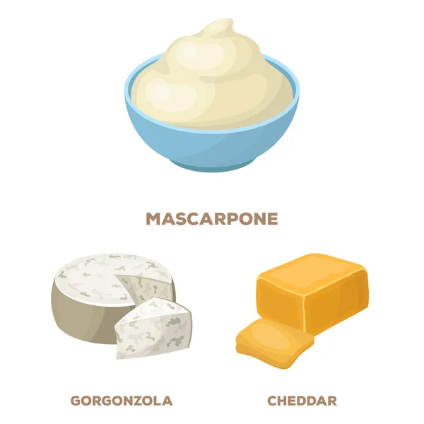 Diferentes tipos de iconos de dibujos animados de queso en la colección de conjuntos para design.Milk producto queso vector símbolo stock web ilustración . — Vector de stock