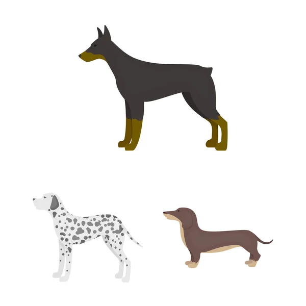 Hundraser tecknad ikoner i set samling för design. Hund husdjur vektor symbol lager web illustration. — Stock vektor