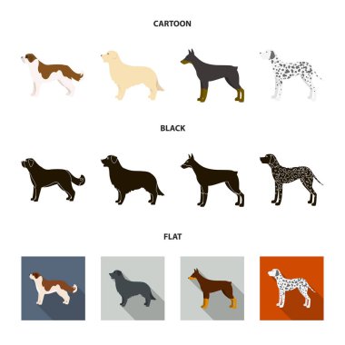 St. Bernard, geri almak, doberman, labrador. Köpek ırkları toplama simgeler çizgi film, siyah, düz stil vektör simge stok çizim web içinde ayarla..