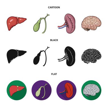Karaciğer, safra kesesi, böbrek, beyin. İnsan organlarını toplama simgeler çizgi film, siyah, düz stil vektör simge stok çizim web içinde ayarla..