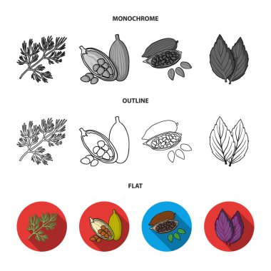 Dereotu, kakao çekirdekleri, fesleğen. Otlar ve baharatlar toplama simgeler koymak düz, anahat, tek renkli stil vektör simge stok çizim web.