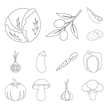Sebze çeşitleri set koleksiyonu tasarım için simgeleri anahat. Sembol stok web illüstrasyon vektör sebze ve vitaminler.
