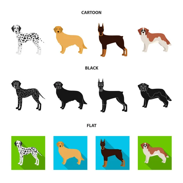 Kutya fajták rajzfilm, fekete, lapos ikonok beállítása gyűjtemény a design. Kutya kisállat vektor szimbólum állomány honlap illusztráció. — Stock Vector