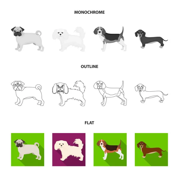 Perro razas planas, contorno, iconos monocromáticos en la colección de conjuntos para design.Dog mascota vector símbolo stock web ilustración . — Vector de stock