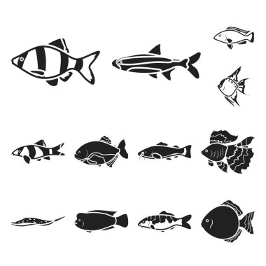 Farklı türde balık set koleksiyonu tasarım için simgeler siyah. Deniz ve akvaryum balık sembol stok web illüstrasyon vektör.