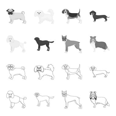 Köpek doğurmak anahat, set koleksiyonu tasarım için tek renkli simgeler. Köpek evde beslenen hayvan vektör simge stok web çizim.