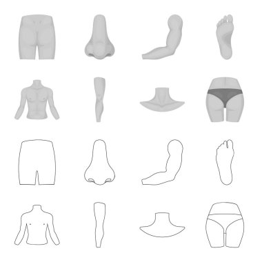 Gövde, bacak, boyun ve kalça. Vücut parçaları toplama simgeler anahat, tek renkli stil vektör simge stok çizim web ayarla..