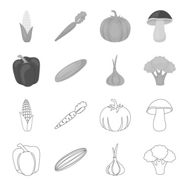 Kırmızı tatlı biber, yeşil salatalık, sarımsak, lahana. Sebze toplama simgeler anahat, tek renkli stil vektör simge stok çizim web ayarla..