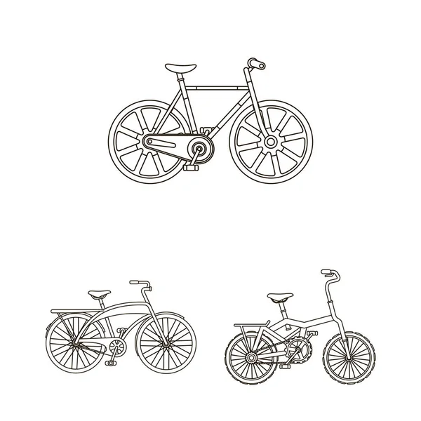 Varias bicicletas esbozan iconos en la colección de conjuntos para el diseño. El tipo de vector de transporte símbolo stock web ilustración . — Vector de stock