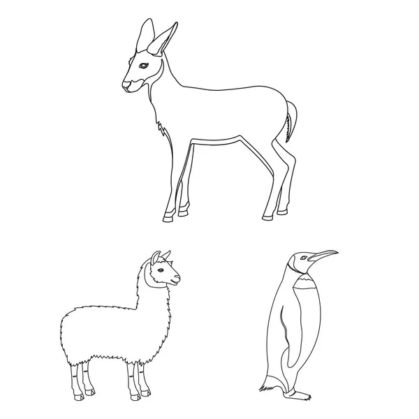 Διαφορετικά ζώα περίγραμμα εικονίδια στη συλλογή σετ για σχεδιασμό. Πουλί, ο predator και φυτοφάγα σύμβολο μετοχής web εικονογράφηση διάνυσμα. — Διανυσματικό Αρχείο