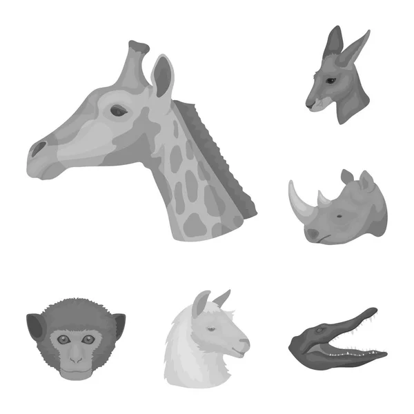 Дикие животные монохромные иконы в наборе коллекции для дизайна. Рисунок векторных символов млекопитающих и птиц . — стоковый вектор