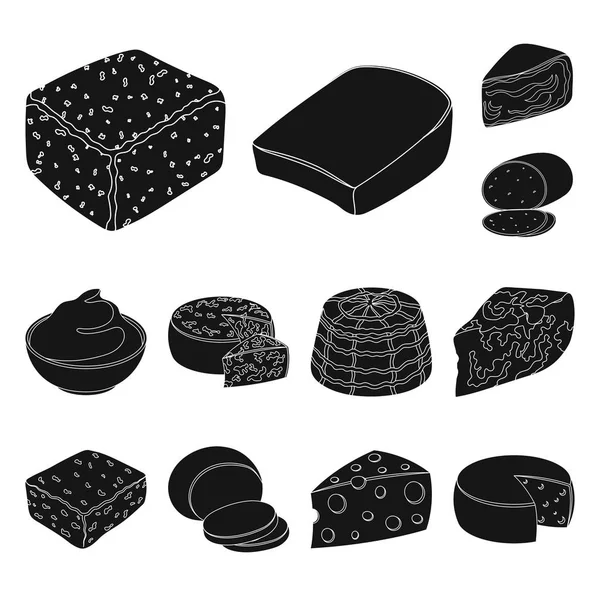 Diferentes tipos de iconos de queso negro en la colección de conjuntos para design.Milk producto queso vector símbolo stock web ilustración . — Vector de stock