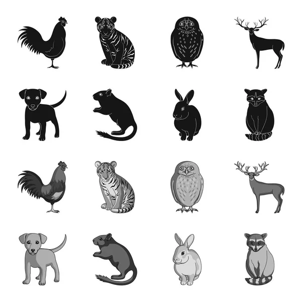 Cachorro, roedor, conejo y otras especies de animales.Los animales establecen iconos de la colección en negro, el estilo monocromo vector símbolo stock illustration web . — Vector de stock