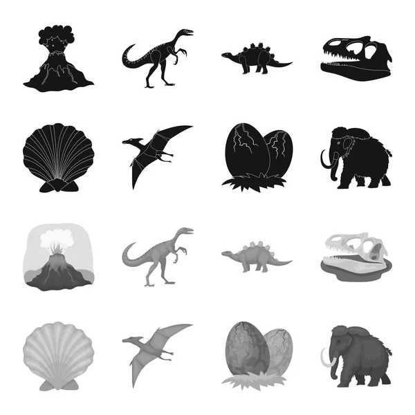 Prehistoric shell, dinosaur eggs,pterodactyl, mammoth. Dinosaur and prehistoric period set collection icons in black,monochrome style vector symbol stock illustration web. — Stock Vector