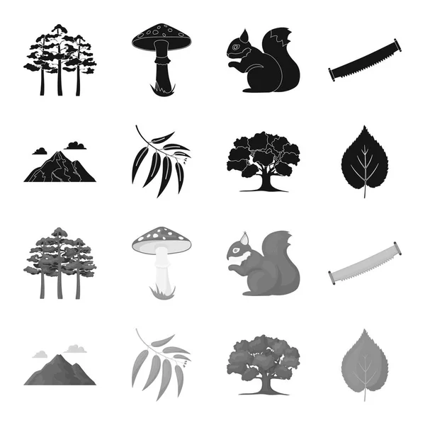 Βουνό, σύννεφο, δέντρο, κλαδί, φύλλο. Δάσος στεγάζεται συλλογή εικονιδίων σε μαύρο, μονόχρωμη στυλ διάνυσμα σύμβολο μετοχής εικονογράφηση web. — Διανυσματικό Αρχείο