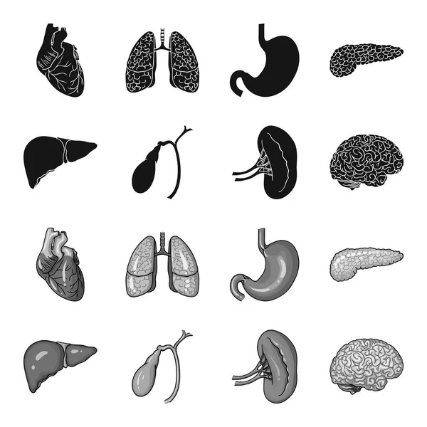 Hígado, vesícula biliar, riñón, cerebro. Los órganos humanos establecen iconos de colección en negro, el estilo monocromo vector símbolo stock ilustración web . — Vector de stock