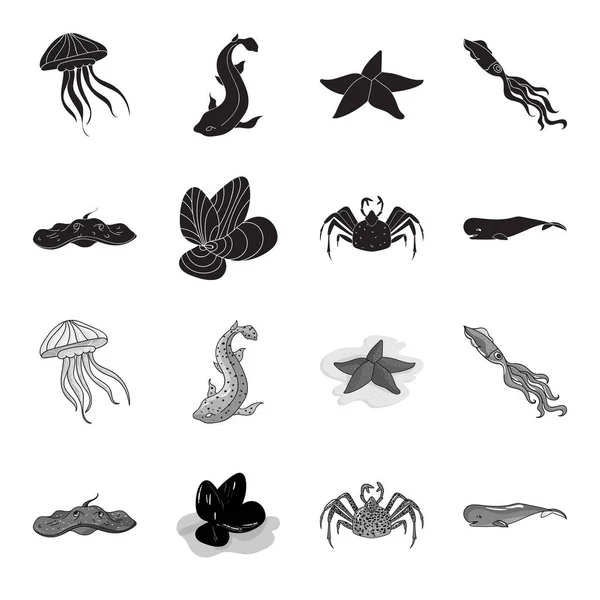 電気ランプ、ムール貝、カニ、マッコウクジラ。海の動物が黒、白黒スタイル ベクトル シンボル ストック イラスト web でコレクションのアイコンを設定します。. — ストックベクタ
