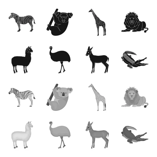 Lama, emù di struzzo, antilope giovane, coccodrillo animale. Animali selvatici, uccelli, rettili set icone di raccolta in nero, stile monocromatico vettore simbolo stock illustrazione web . — Vettoriale Stock