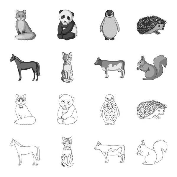 Cavalo, vaca, gato, esquilo e outros tipos de animals.Animals conjunto coleção ícones em esboço, estilo monocromático símbolo vetorial estoque ilustração web . —  Vetores de Stock