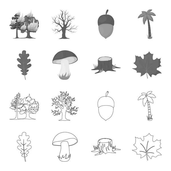 Hoja de roble, seta, tocón, hoja de arce. Iconos de colección de conjuntos forestales en el contorno, el estilo monocromo vector símbolo stock illustration web . — Vector de stock