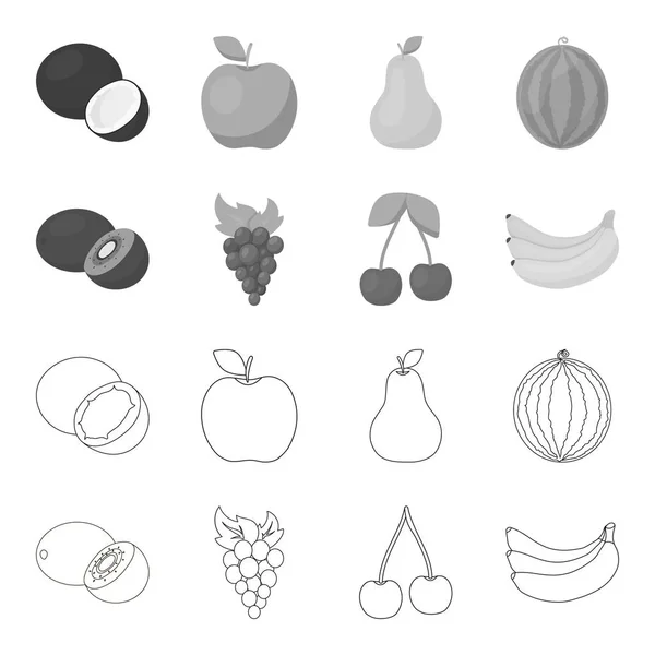 키 위, 포도, 체리, 바나나입니다. 과일 개요, 단색 스타일 벡터 기호 재고 일러스트 웹 컬렉션 아이콘 설정. — 스톡 벡터